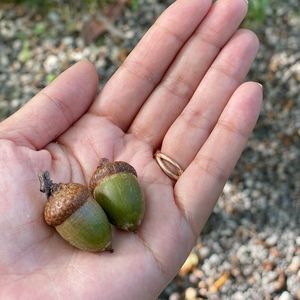 Meet your Posher, Luna